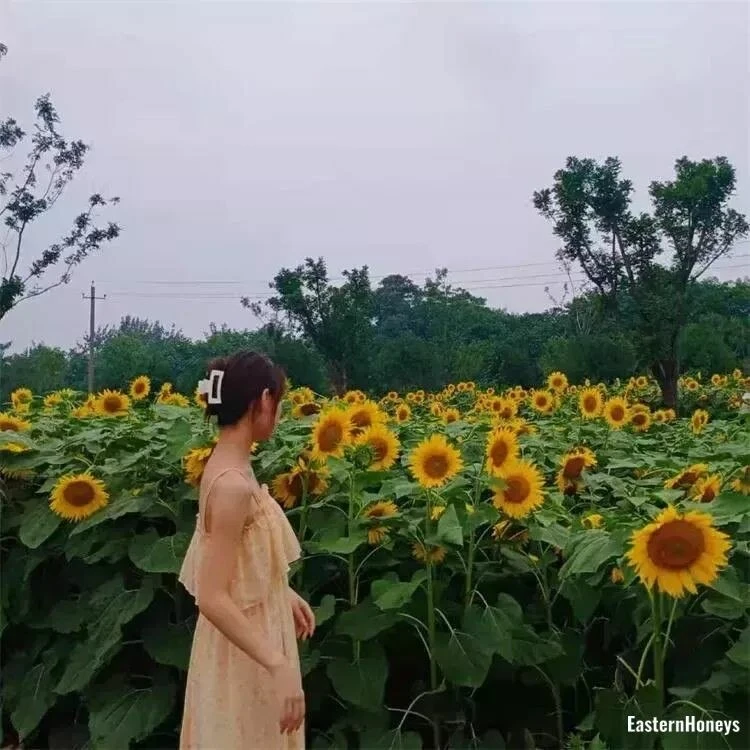 Xiaoqiong Profile image 2