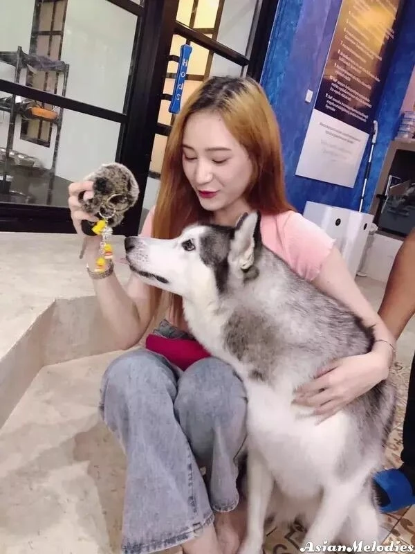 Aryee Profile image 4