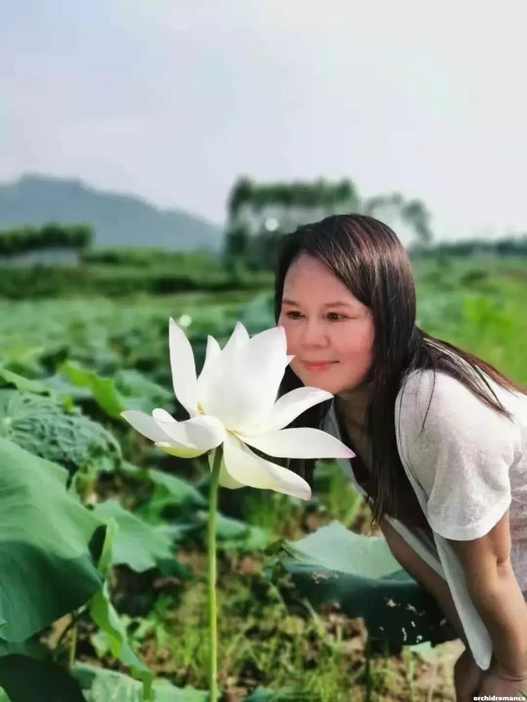 Qing Hui Profile image 3