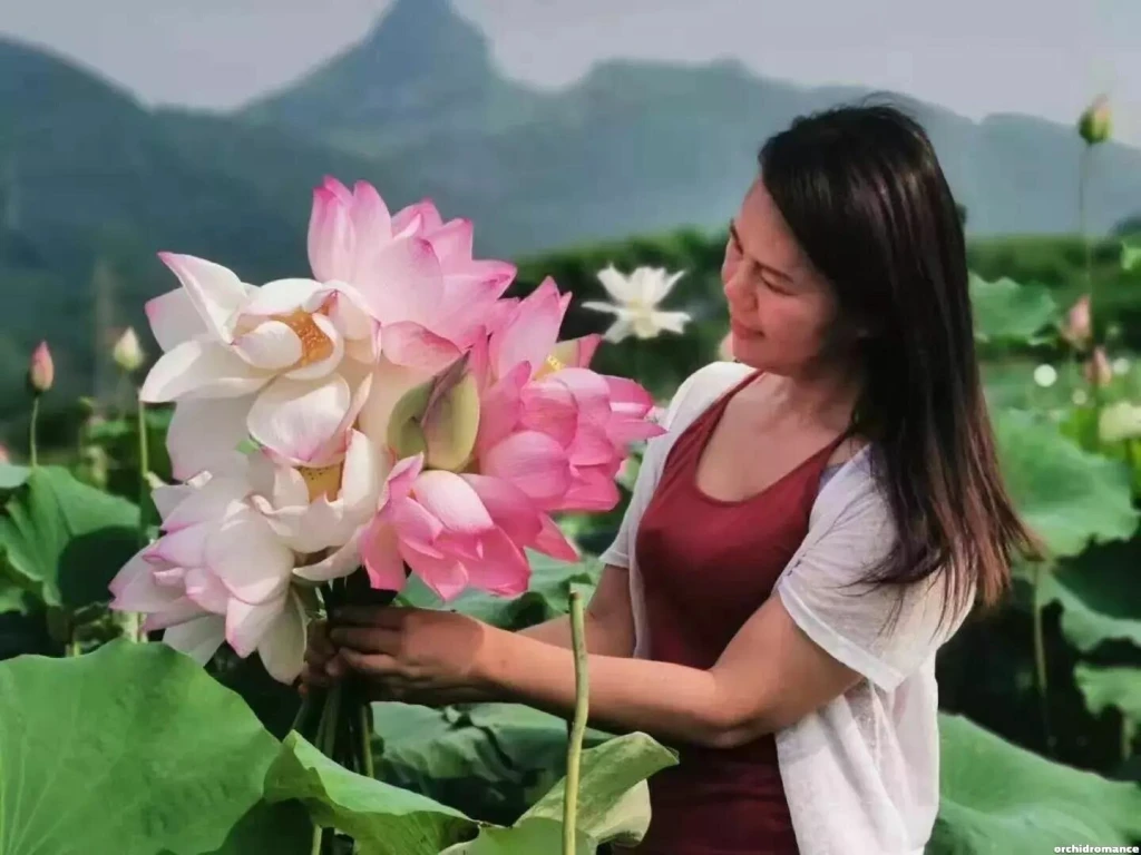 Qing Hui Profile image 4