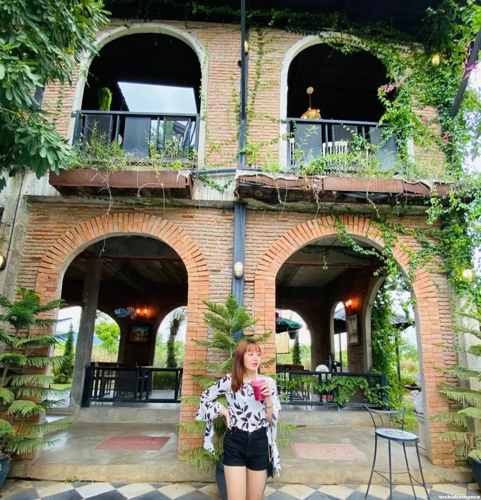 Apiradee Profile image 4