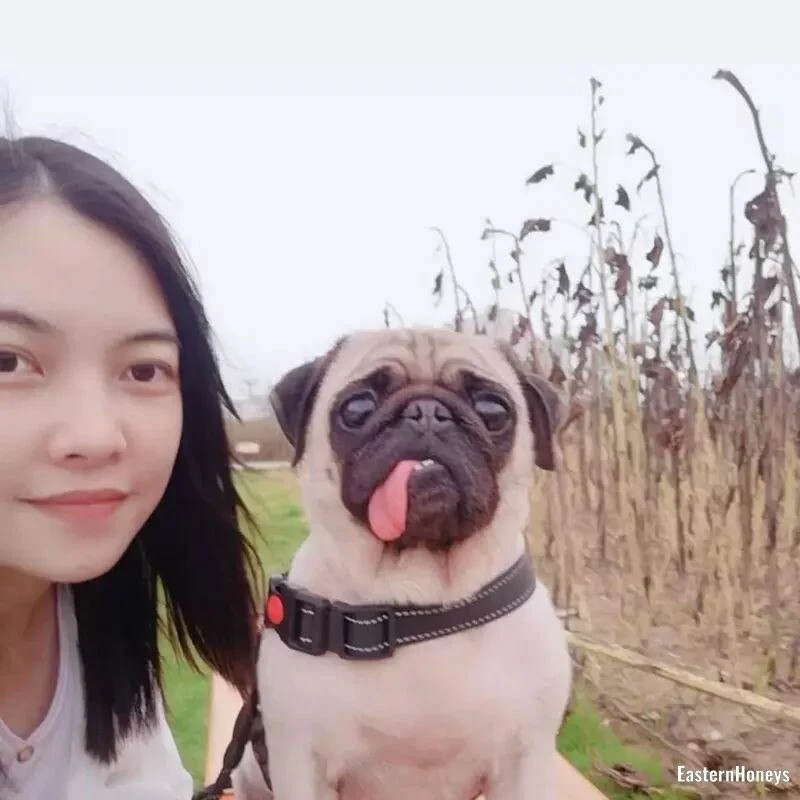 Siyu Zhou Profile image 2